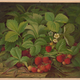 Illustration for article titled Strawberry